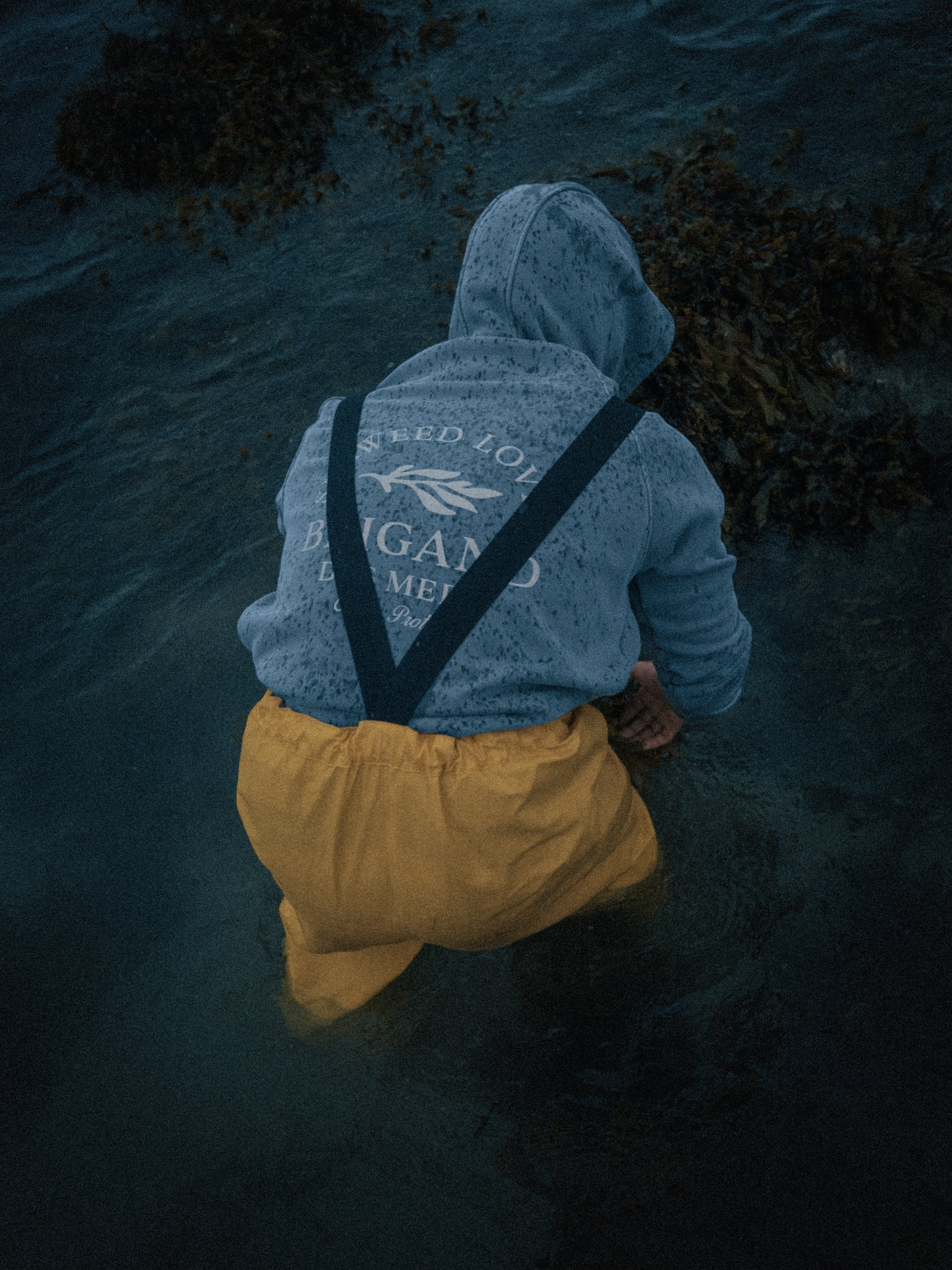 Hoodie Seaweed Coton bio