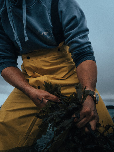 BRIGAND DES MERS Hoodie Seaweed Coton bio Hoodie Seaweed Coton bio
