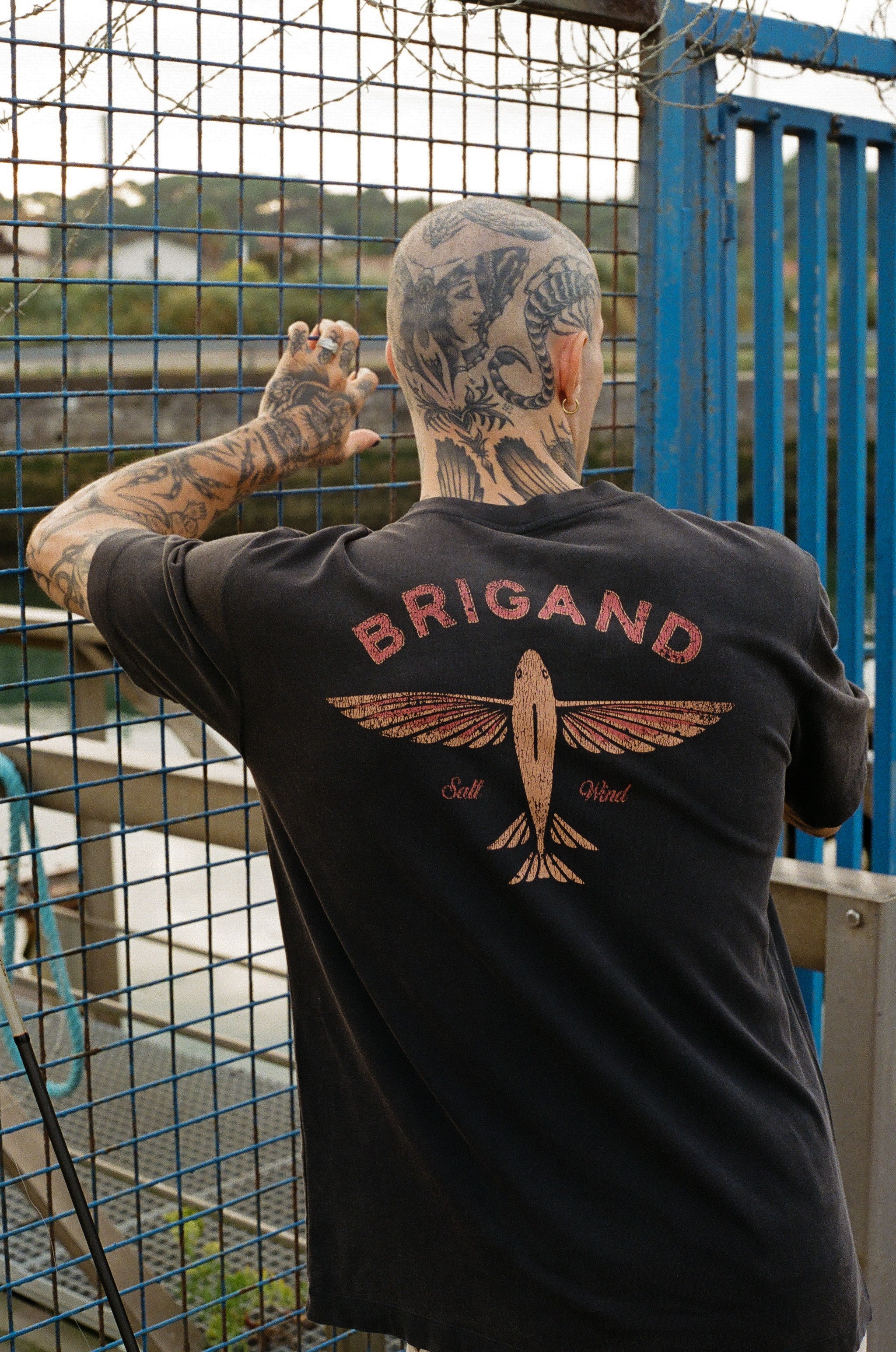 BRIGAND DES MERS T-shirt Flying Fish T-shirt Flying Fish